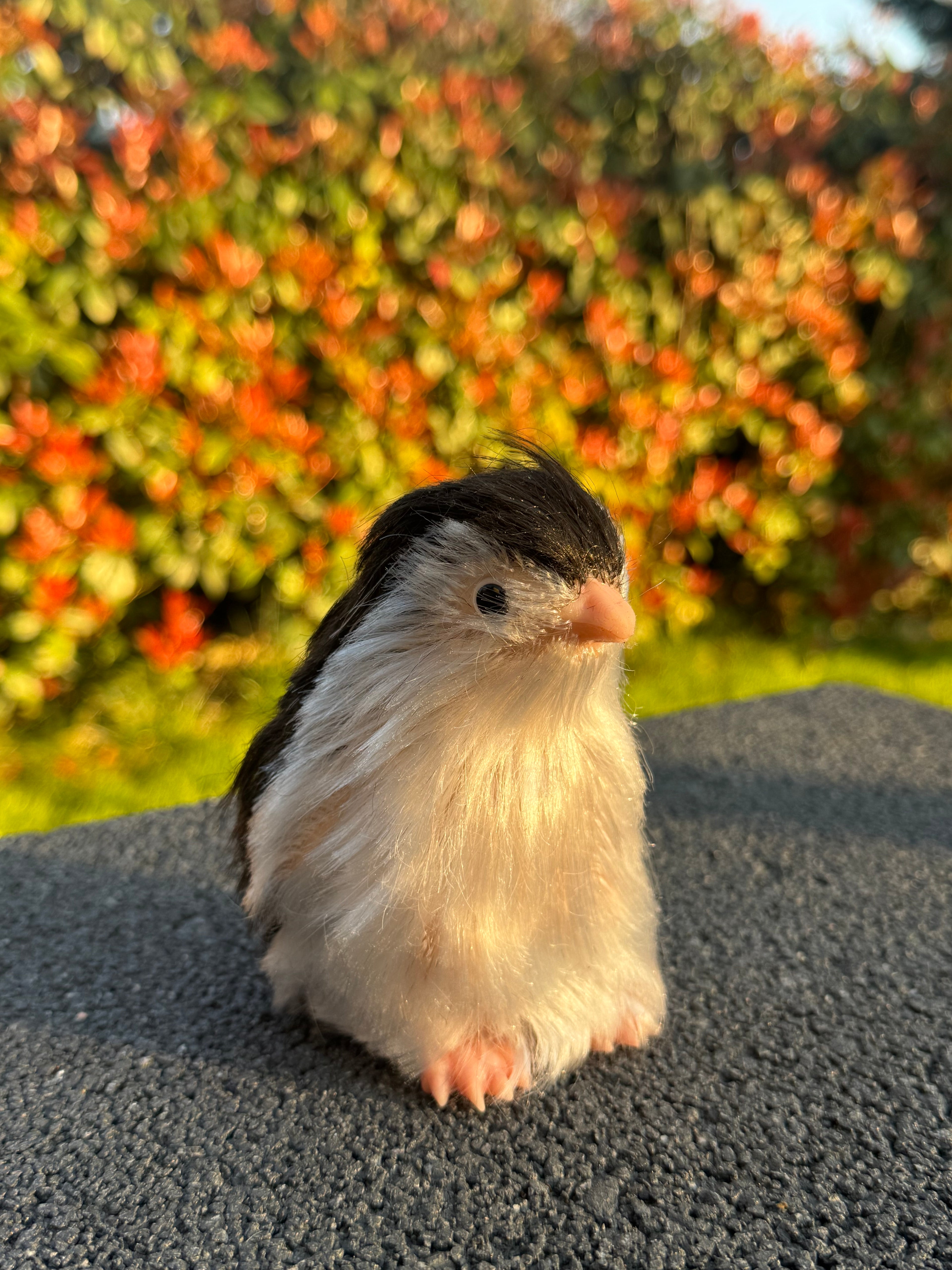 Arctic Penguin – Mini Companions