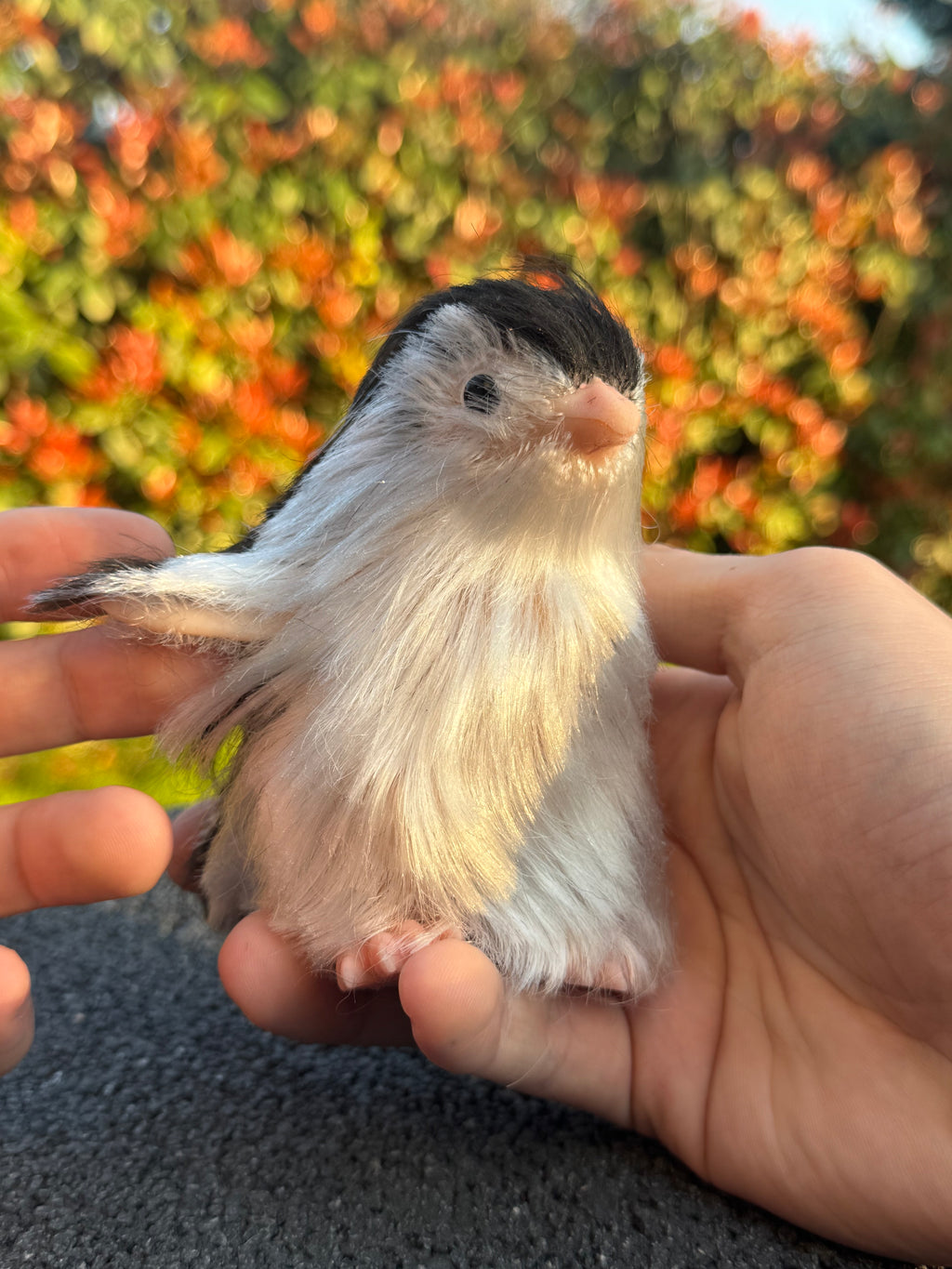 Arctic Penguin – Mini Companions