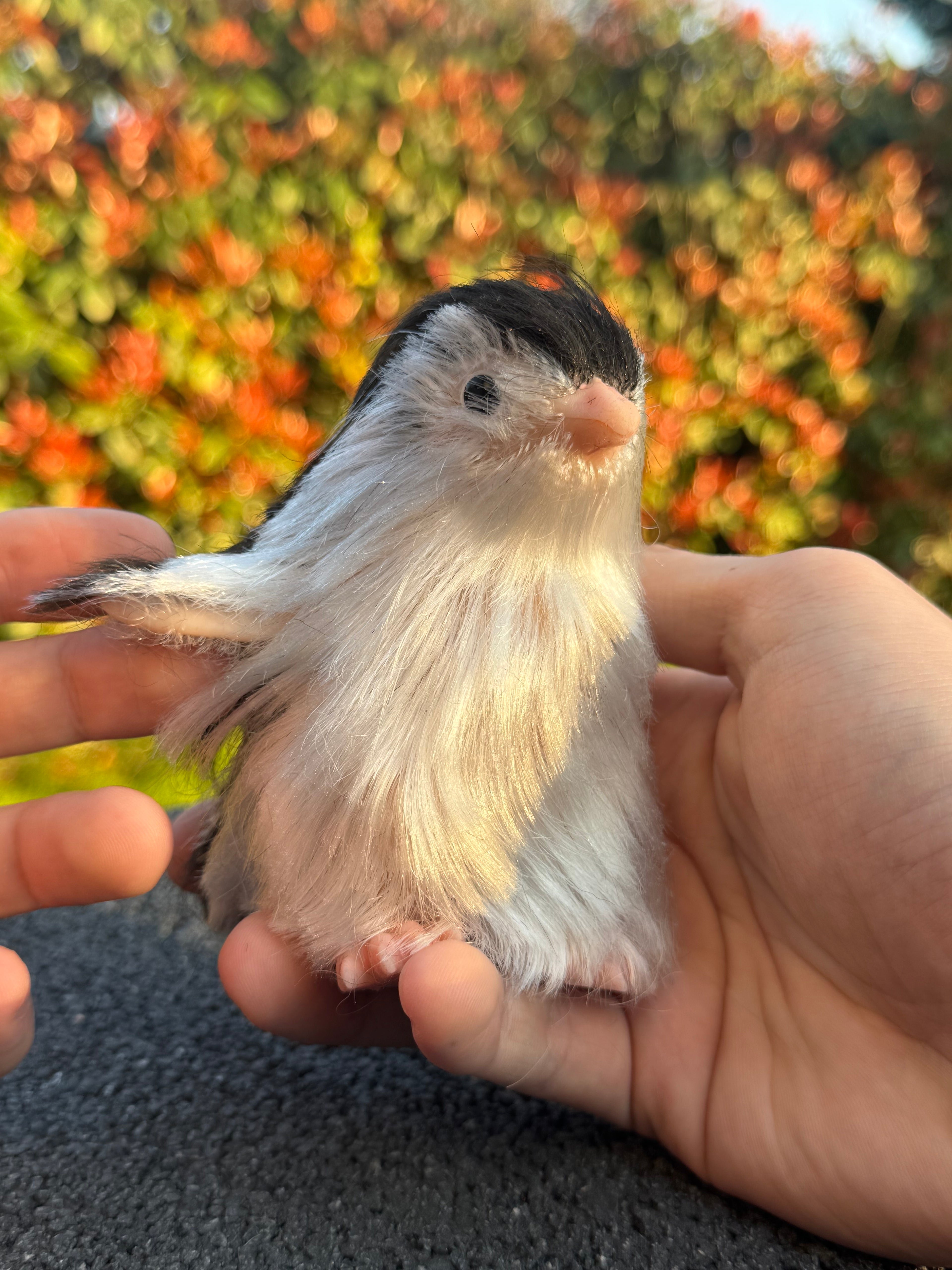 Arctic Penguin – Mini Companions