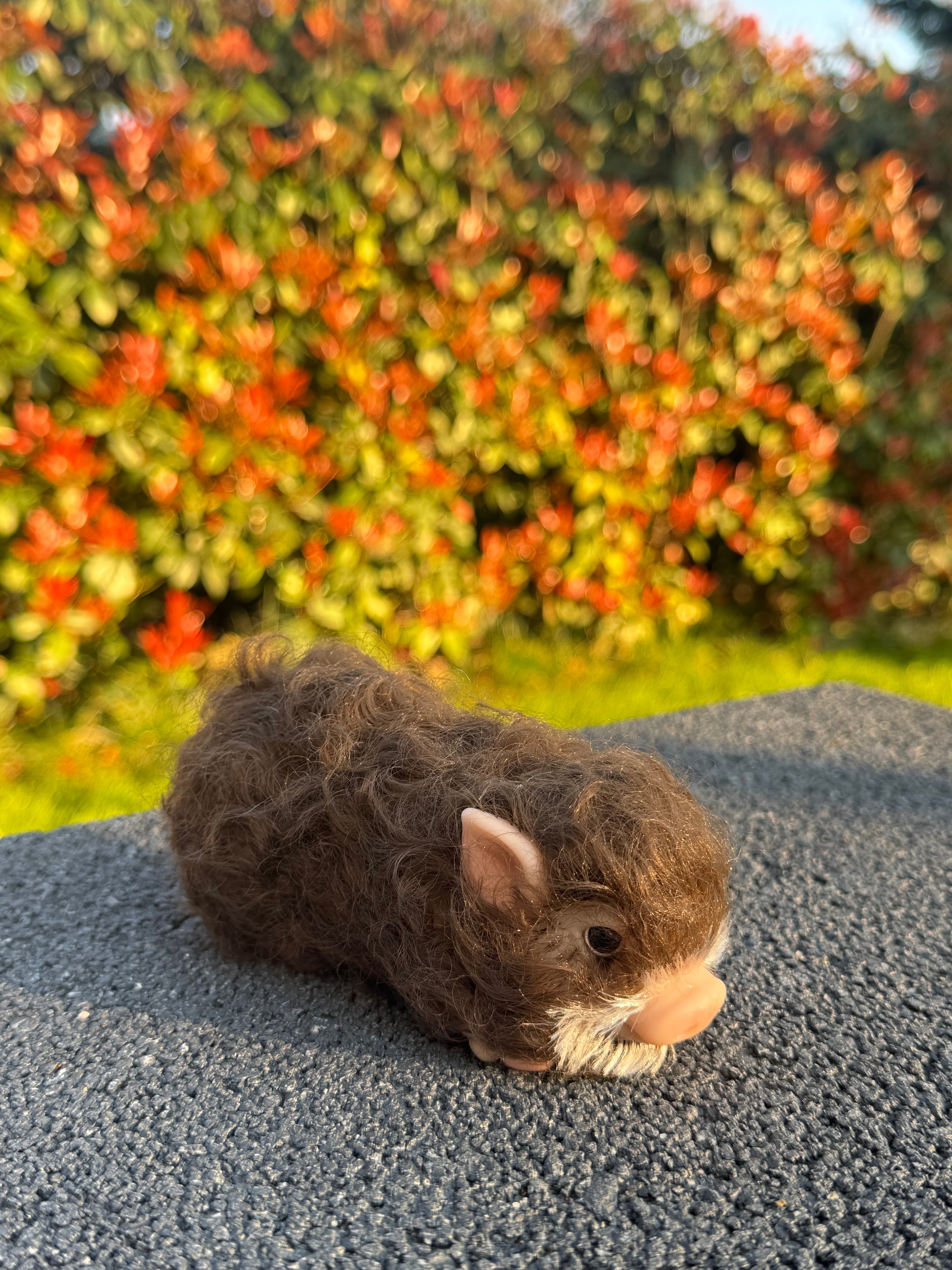 Cocoa Pig – Mini Companions