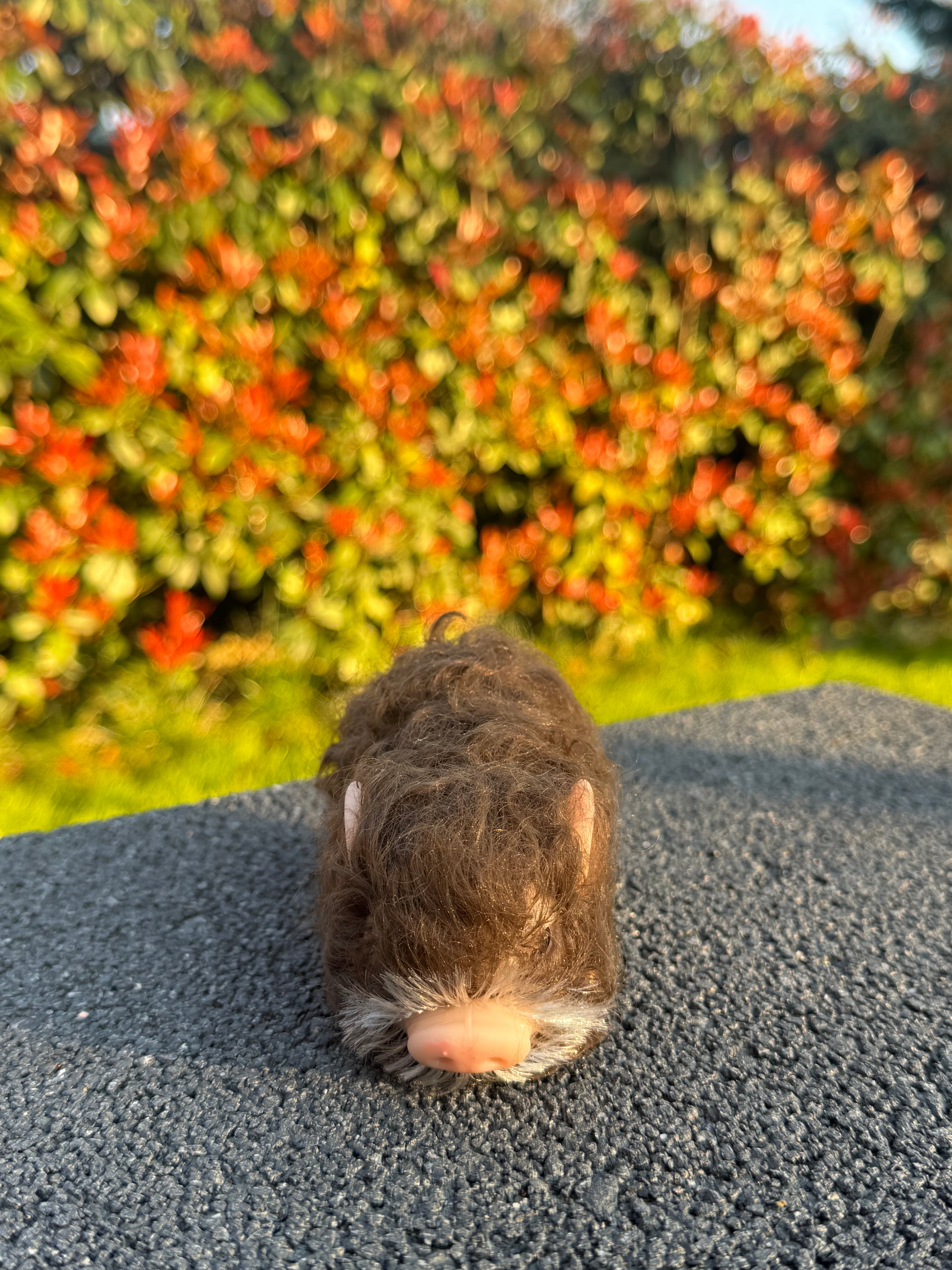 Cocoa Pig – Mini Companions