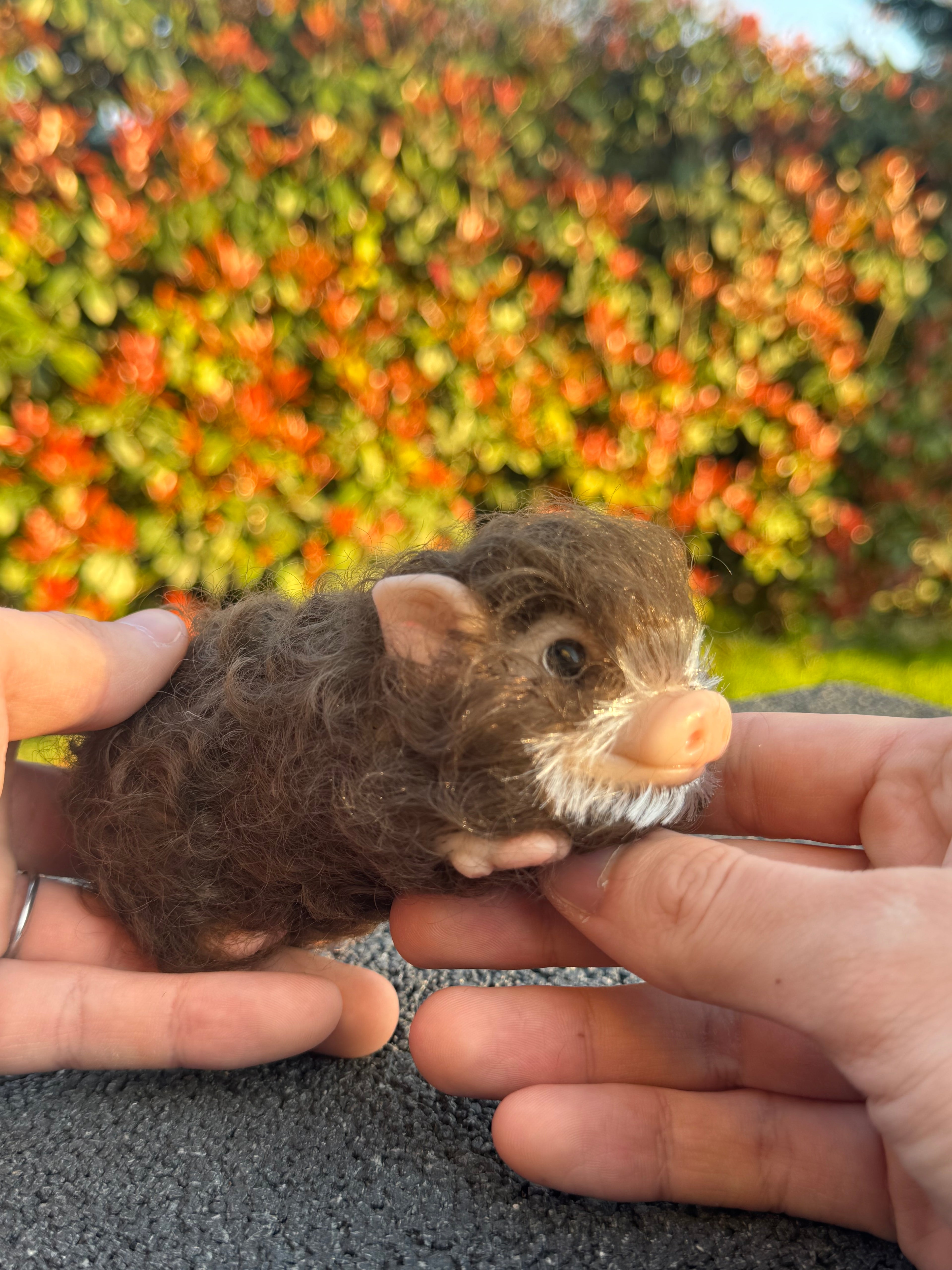 Cocoa Pig – Mini Companions