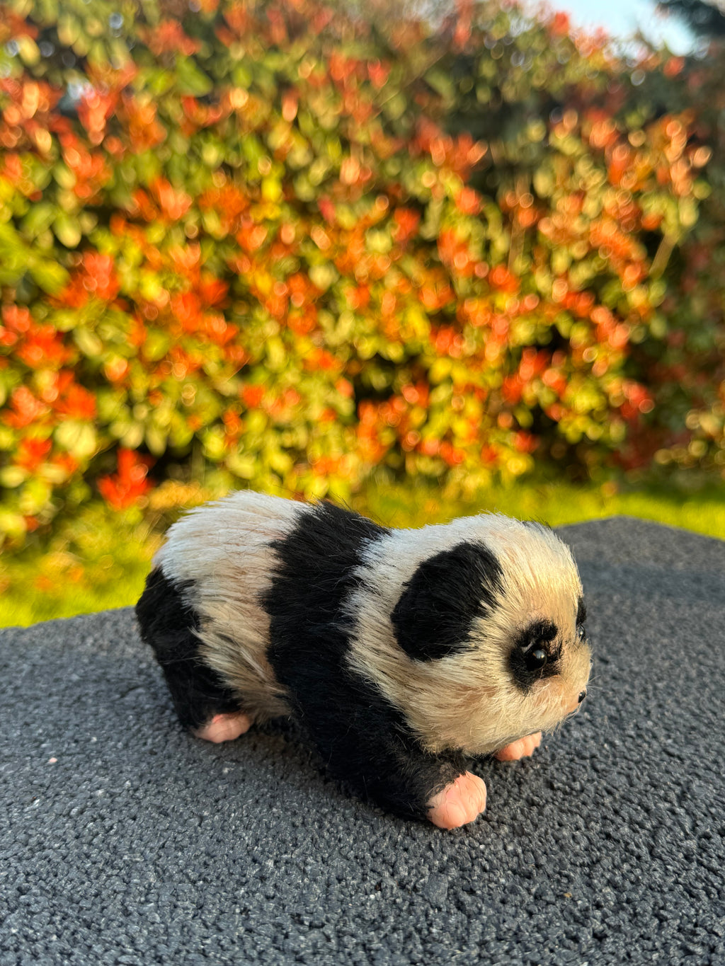 Snow Panda – Mini Companions
