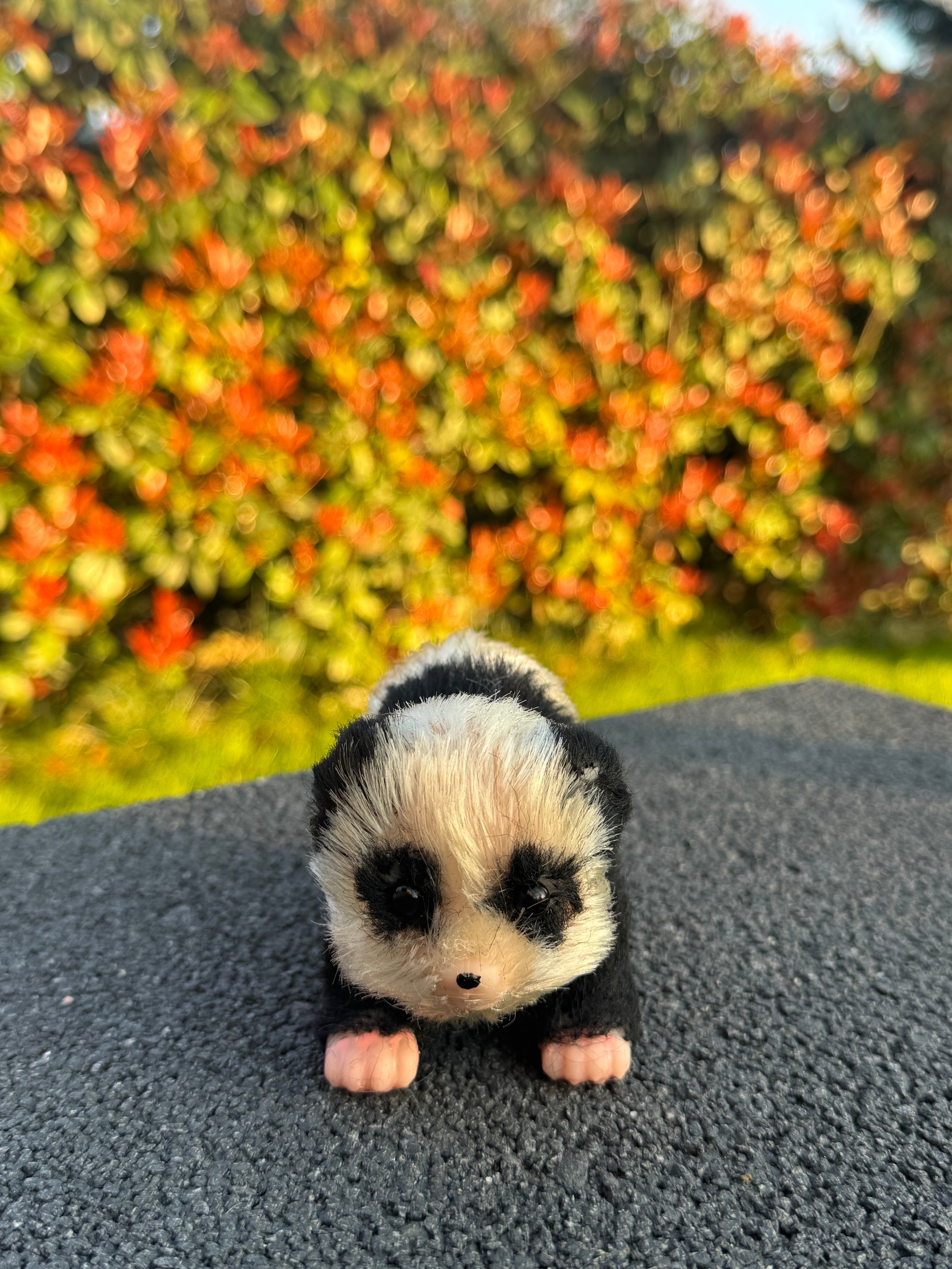 Snow Panda – Mini Companions