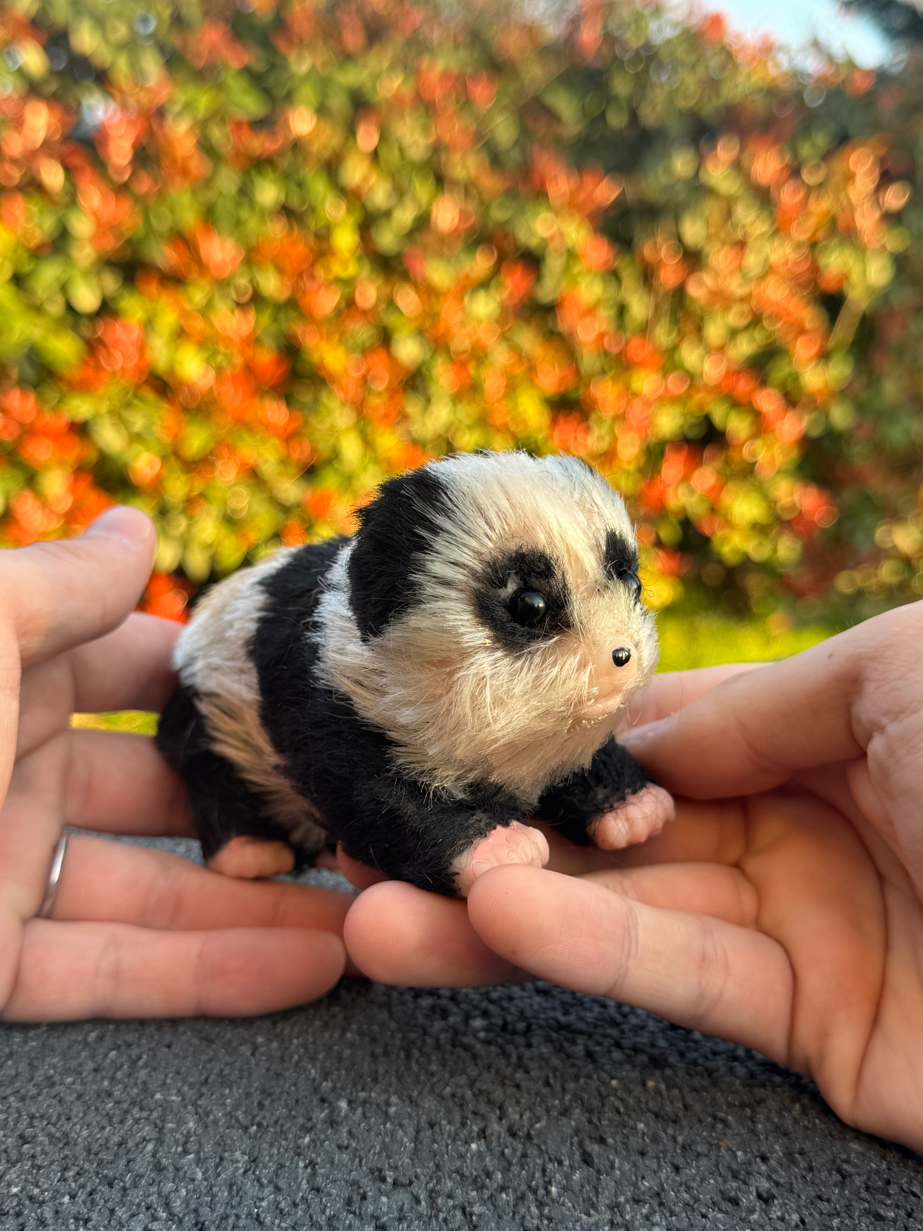 Snow Panda – Mini Companions