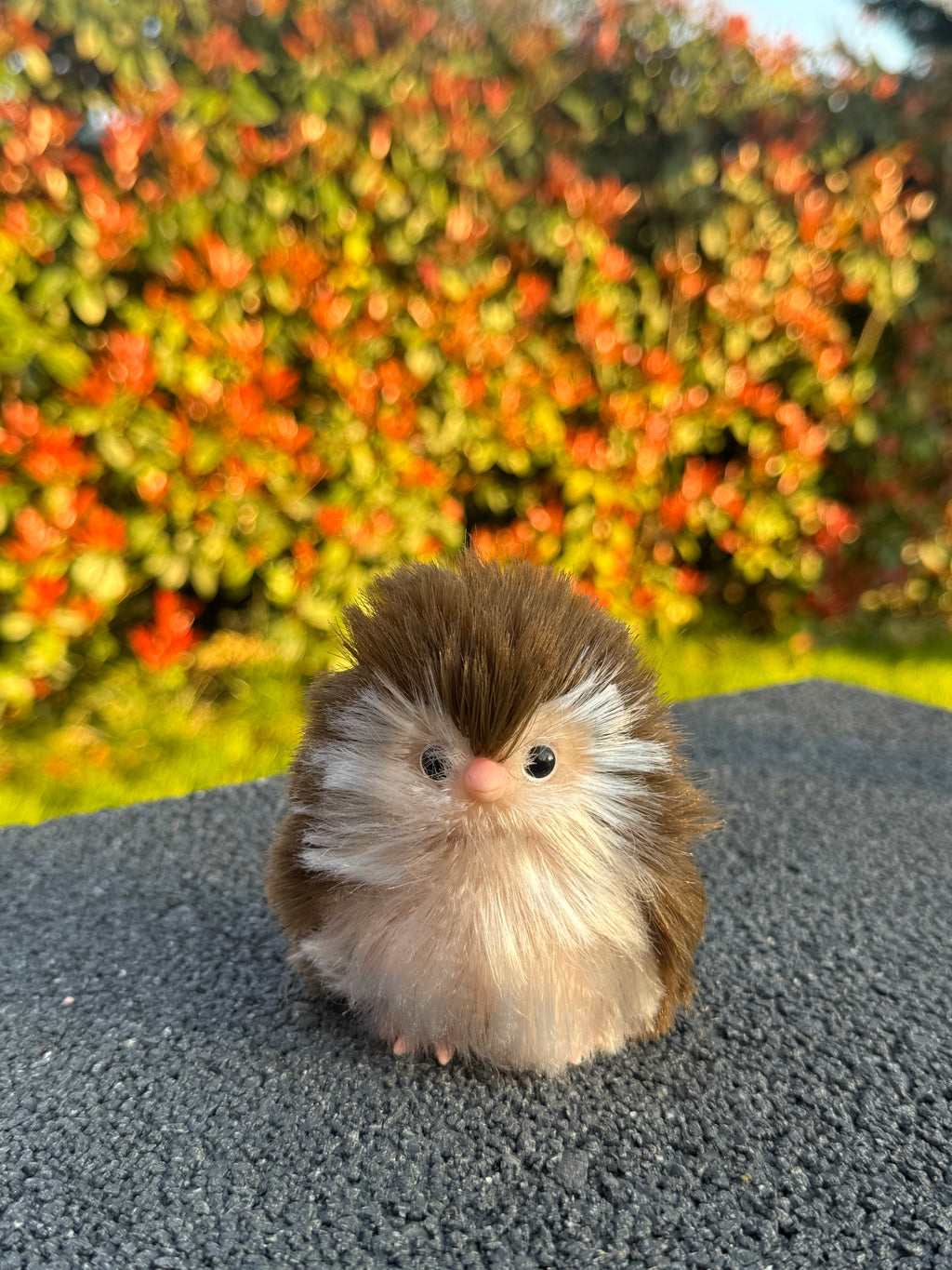 Moon Owl – Mini Companions