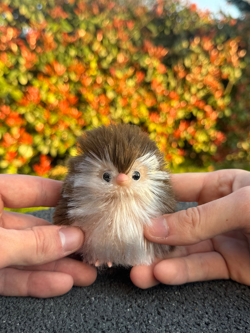 Moon Owl – Mini Companions