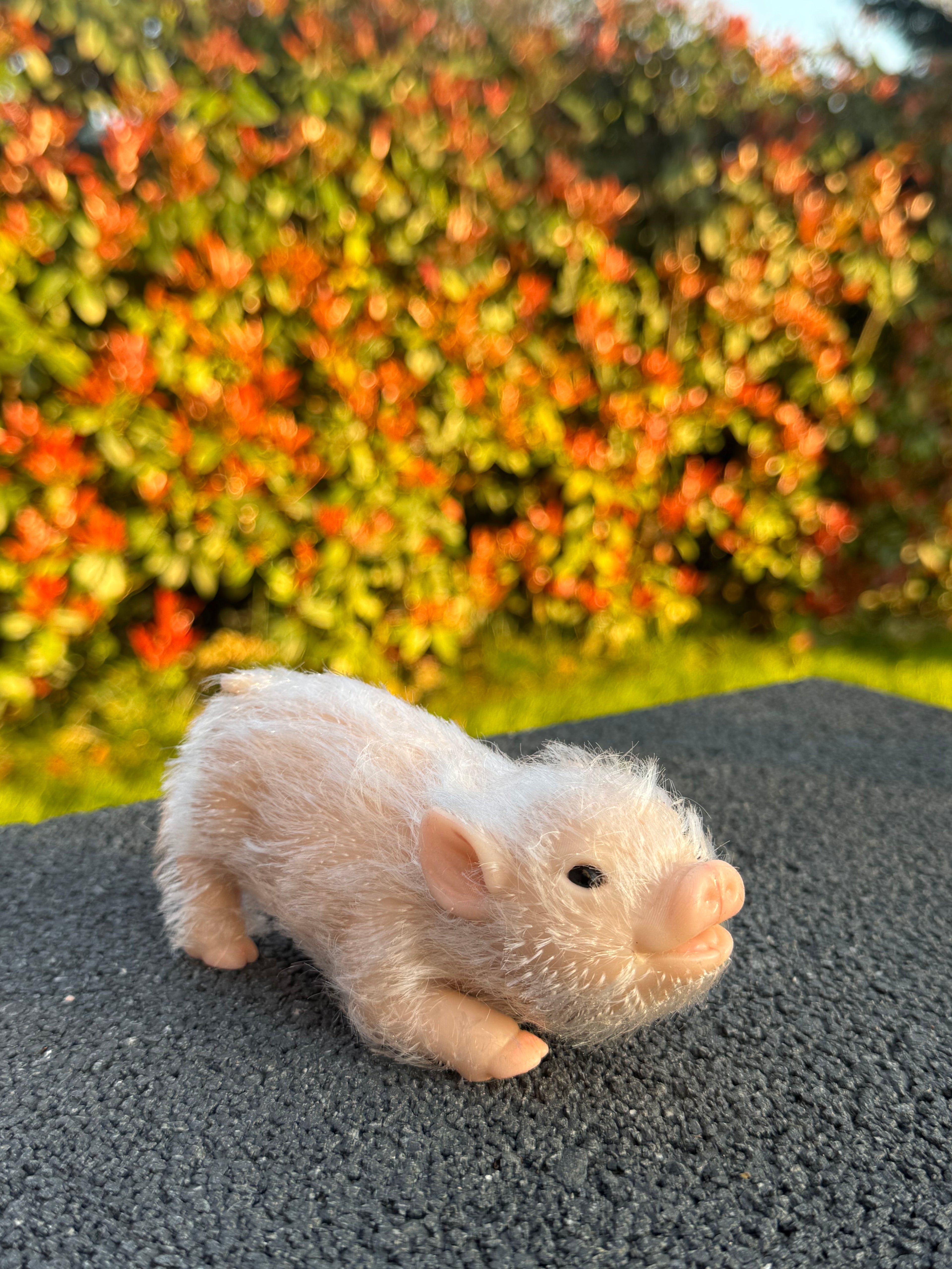 Blush Pig – Mini Companions