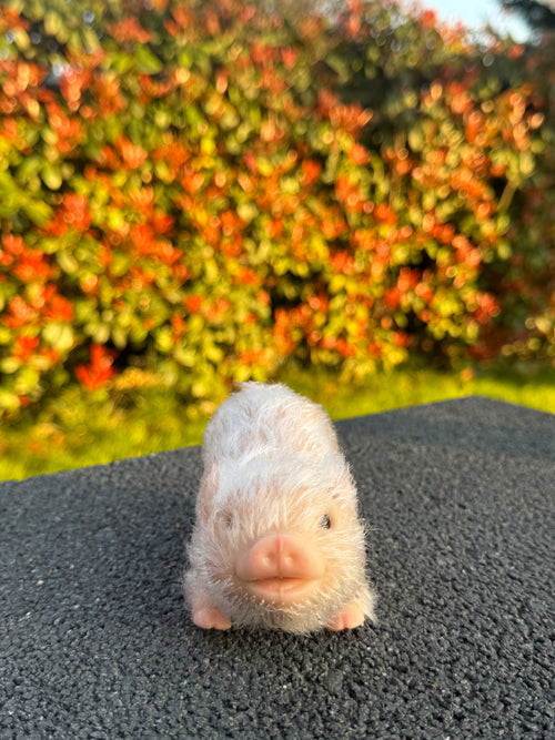 Blush Pig – Mini Companions