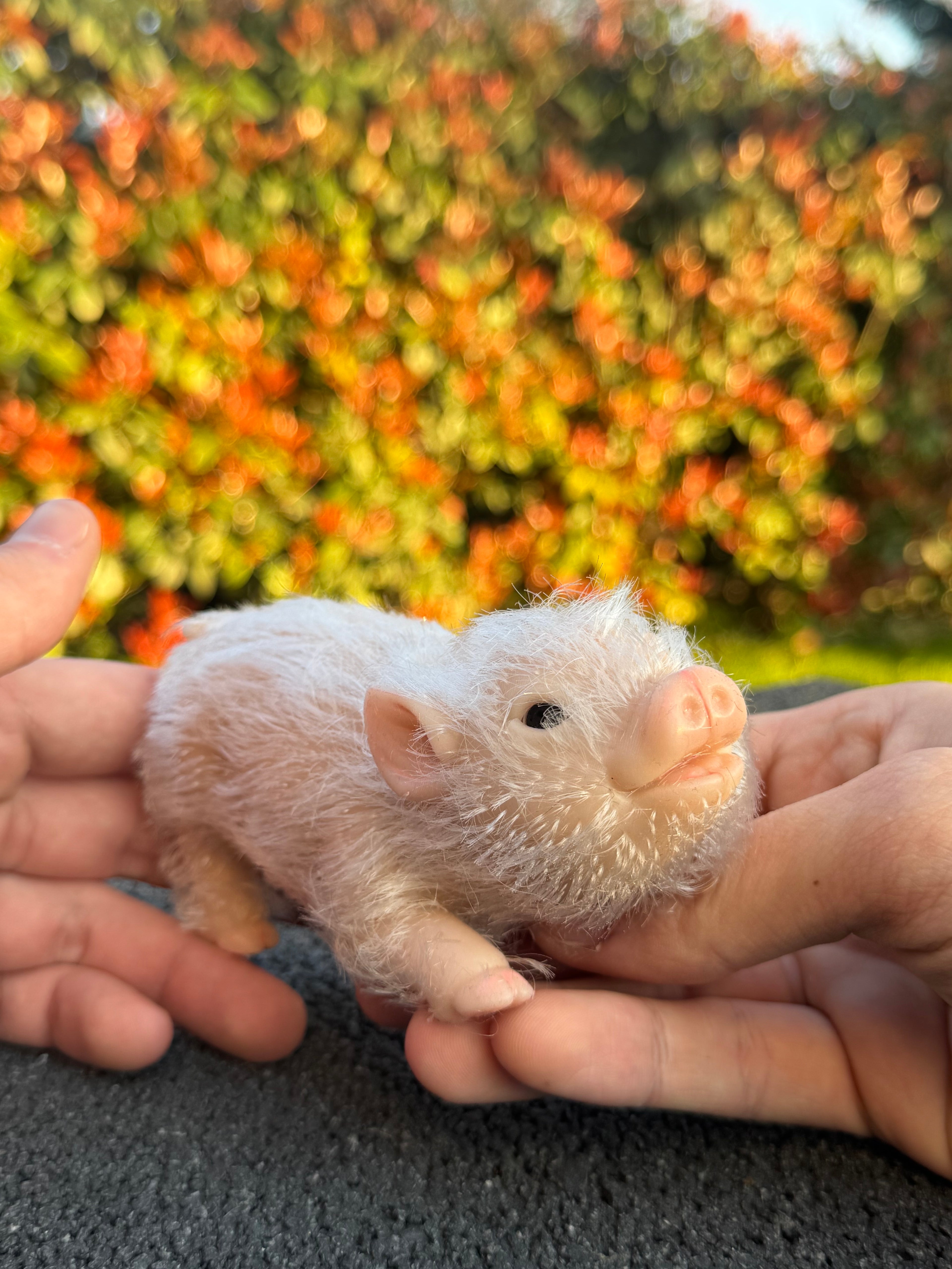 Blush Pig – Mini Companions