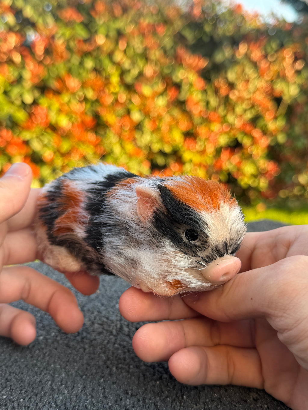 Truffle Pig – Mini Companions