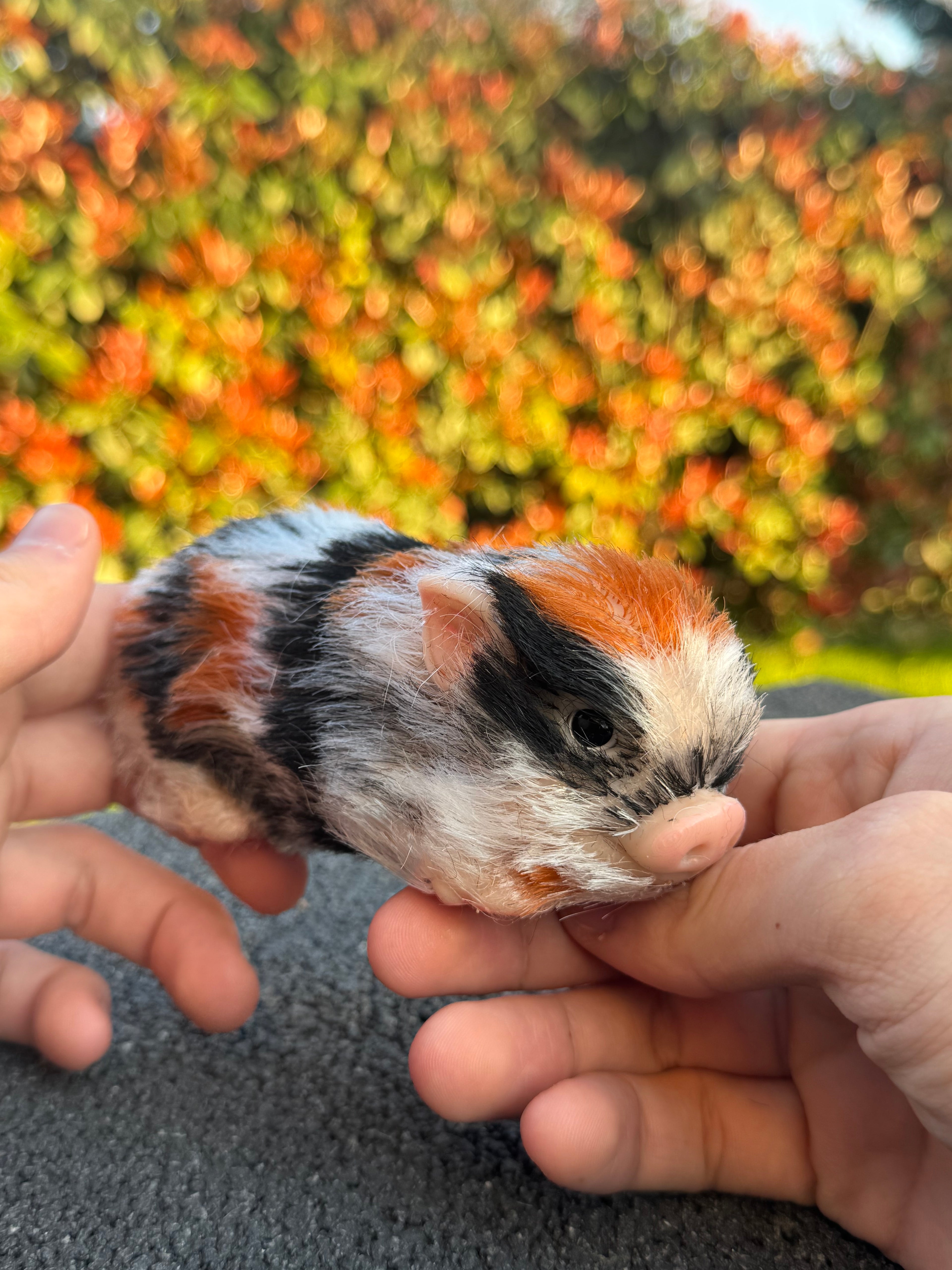 Truffle Pig – Mini Companions