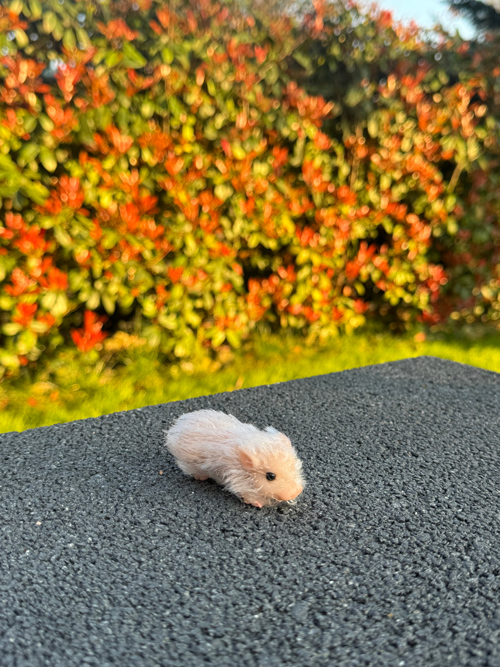 Mini Blush Pig – Mini Companions