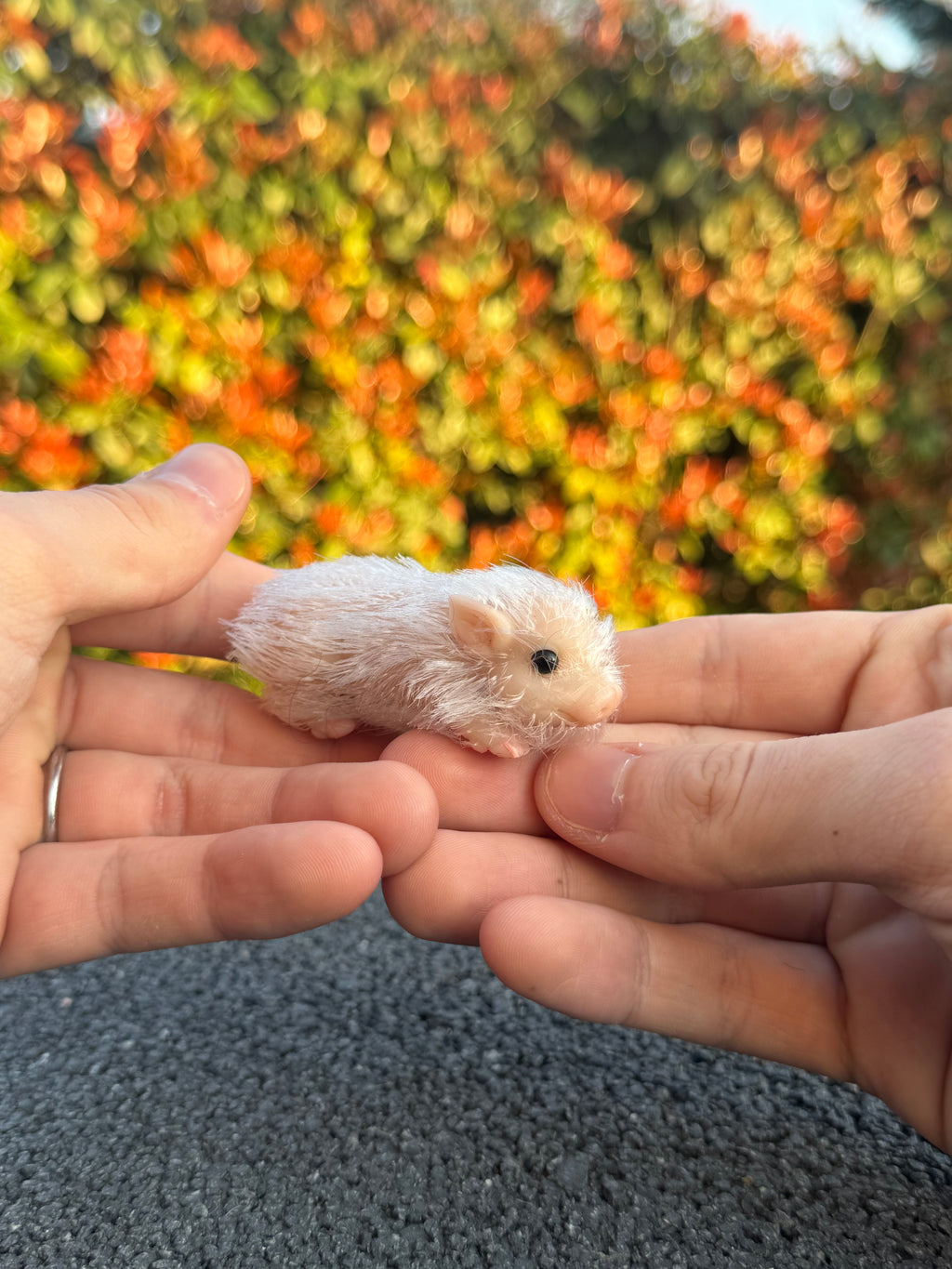 Mini Blush Pig – Mini Companions