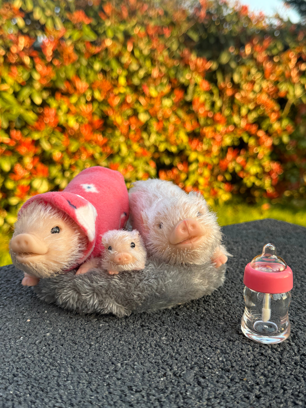 Mini Blush Pig – Mini Companions