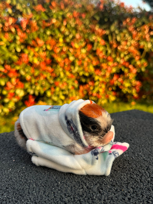 Blush Hoodie – Mini Accessories