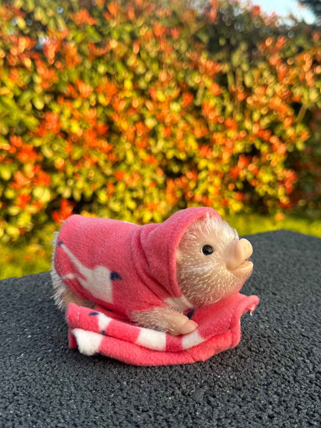 Blush Hoodie – Mini Accessories