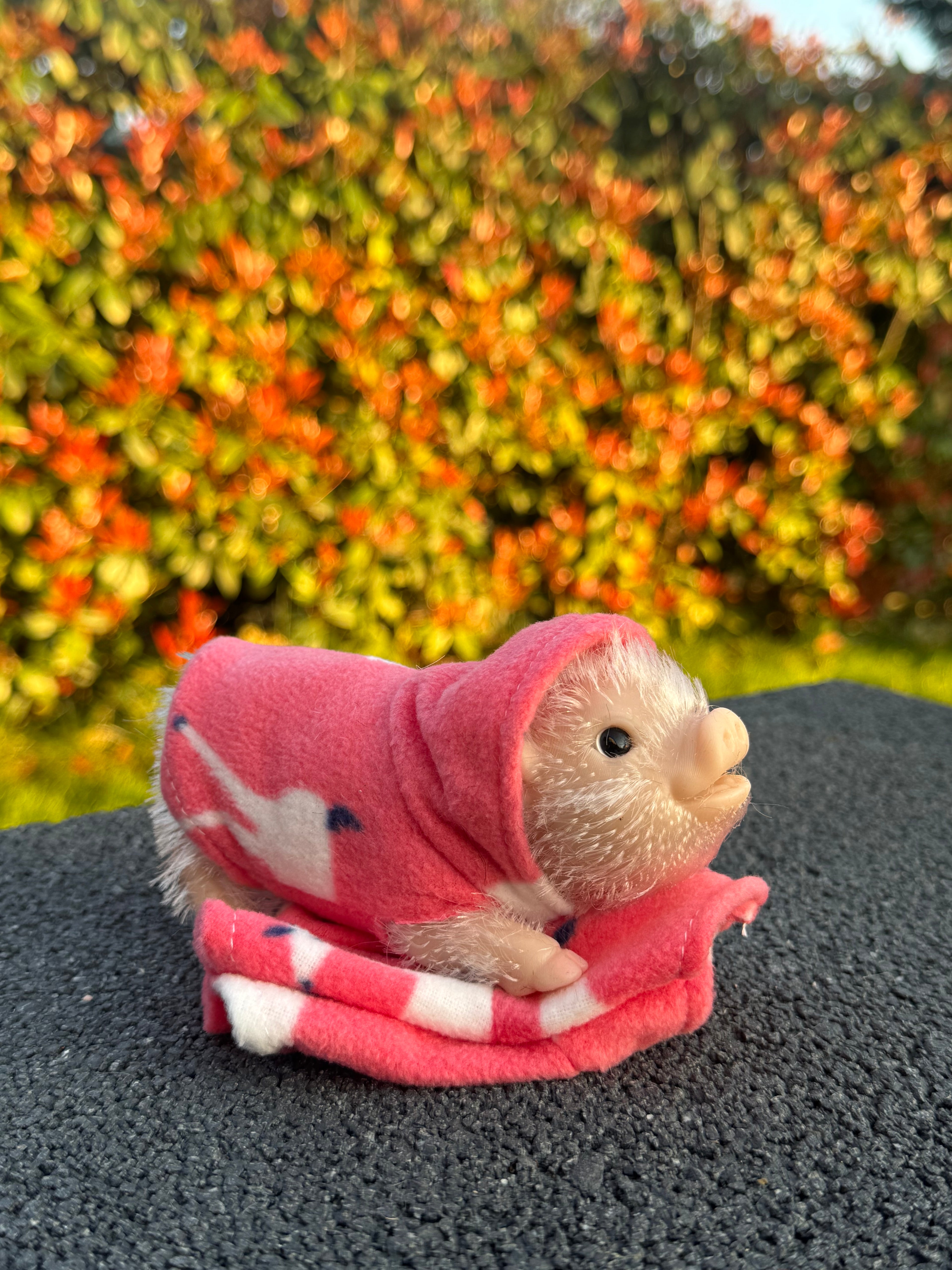 Blush Hoodie – Mini Accessories