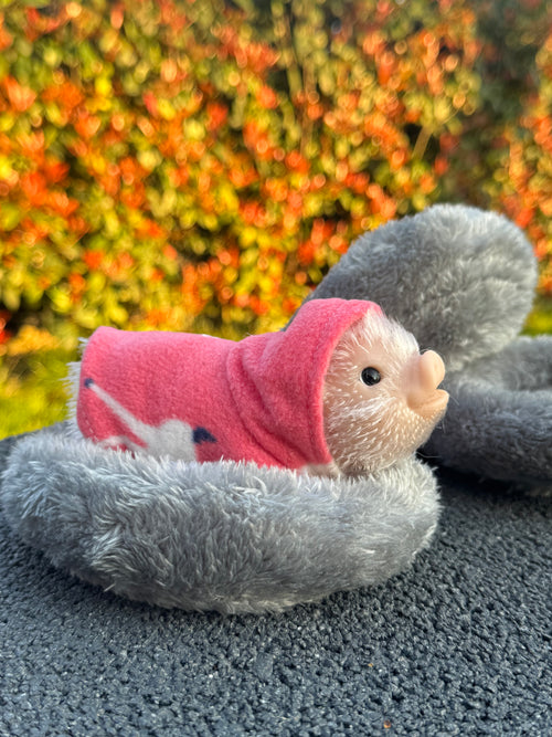 Cloud Nest – Mini Accessories